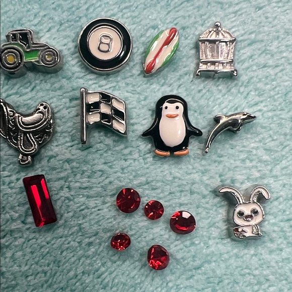 Floating Locket Charms - Picture 5 of 5